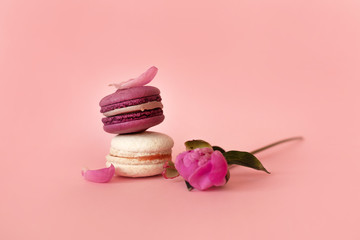 Purple macaroon lies on top on a white macaroon. Two macaroons with peony bud and pink petals. French dessert. Light pink background. Close up, selective focus.