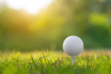 golf ball on tee in a beautiful golf course with morning sunshine