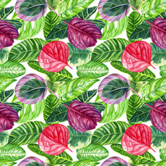 seamless patterns of tropical leaves, watercolor illustration, botanical painting, jungle design