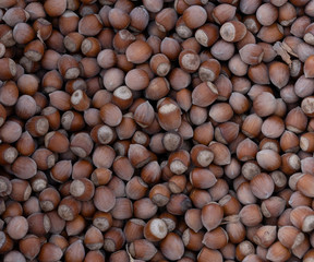 Hazelnuts as background and texture