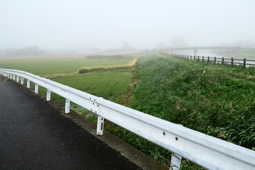Fototapeta na wymiar 朝靄の中のガードレールのある風景