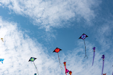 Kites with blue sky and white clouds