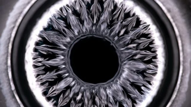 Ferrofluid or ferromagnetic fluid under the influence of sound waves (cymatics), begins to vibrate randomly, creating unusual patterns, close-up