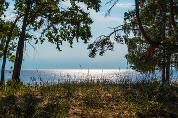 Hill with grass and trees on the background of the Gulf of Finland with sun glare on a sunny summer...