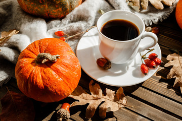 beautiful autumn composition with coffee. autumn leaves and pumpkins on a rustic tree background. the concept of the fall season