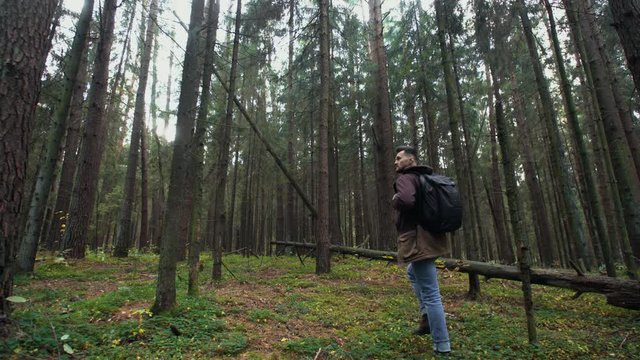 Man walking through tall trees in autumn forest. Male traveler stepping up hiking with travel backpack trekking in pine woodland, walk slowly discover woods. Slow motion steadicam wide angle shot