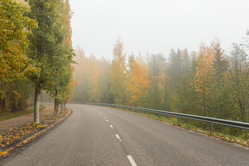 Fototapeta premium Empty asphalt road and trees in autumn colors