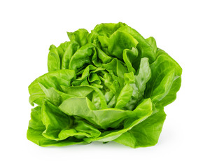 green butter lettuce