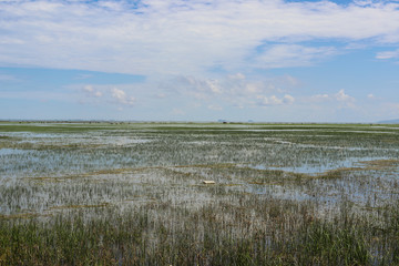 photo of Small lake landscape.