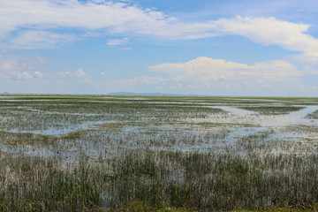 Obraz premium photo of Small lake landscape.