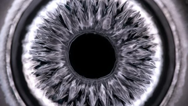 Ferrofluid or ferromagnetic fluid under the influence of sound waves (cymatics), begins to vibrate randomly, creating unusual patterns, close-up