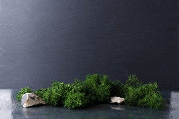 Mock up of natural green moss and stones on the wet grey surface against dark wall.Empty space fro design