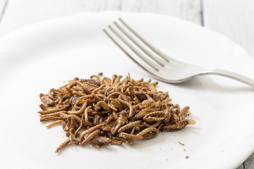 Fried cricket larvae