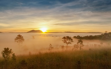 Fototapeta na wymiar Mountain view misty morning on meadow around with sea of fog, peak mountain and yellow light light in cloudy sky background, sunrise at Thung Salang Luang National Park, Khao Kho, Phetchabun, Thailand