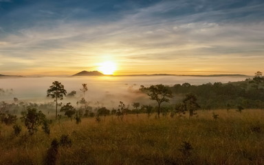 Mountain view misty morning on meadow around with sea of fog, peak mountain and yellow light light in cloudy sky background, sunrise at Thung Salang Luang National Park, Khao Kho, Phetchabun, Thailand