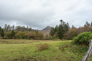 Obraz premium landscape with trees