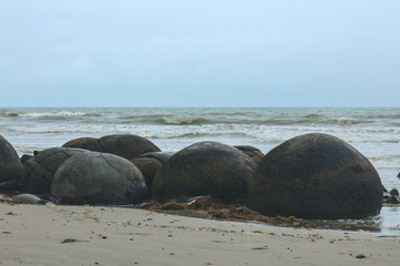 Fototapeta na wymiar Moeraki Boulders am Strand in Neuseeland