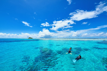 Fototapeta na wymiar Snorkeling in clear water