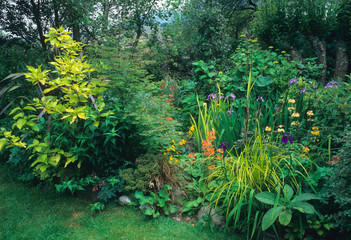 A Welsh mountain garden with mixed planting of shrubs and flowers in Snowdonia