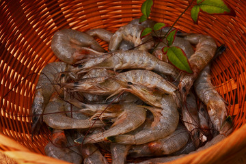 獲れたてシバエビ