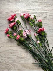 Bukiet różowych goździków na tle białych desek drewnianych