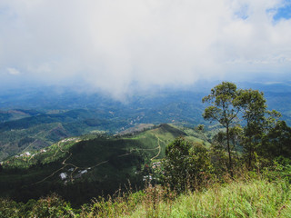 Green natural habitat at Castlereigh reservoir, surrounded by tea plantations in Sri Lanka