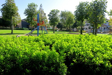 Obraz premium 秋の住宅地の公園風景