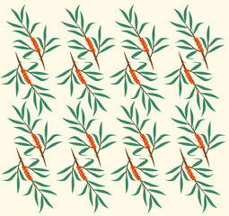 pattern of branches of sea buckthorn