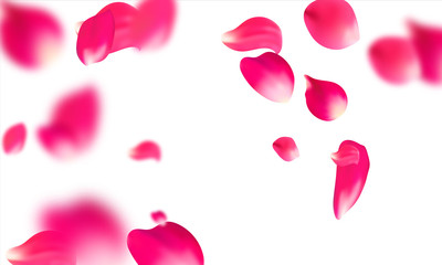 Pink falling petals falling. Rose flower pastel background.