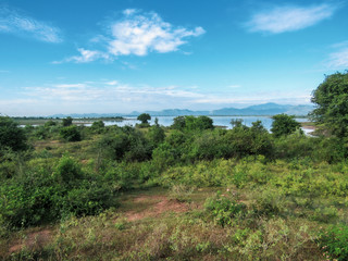 Fototapeta na wymiar Green natural habitat at Castlereigh reservoir, surrounded by tea plantations in Sri Lanka