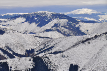 Obraz premium Winter landscape of Low Tatras mountains situated in the heart of Slovakia. Forests destroyed by human activity. Carpathian mountains. Kráľova hoľa peak. 