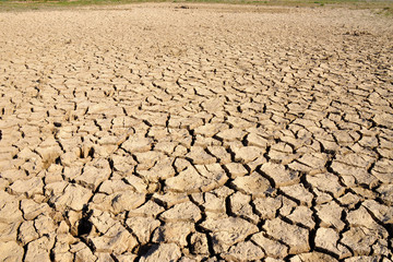 Dry cracked field. The global shortage of water on the planet. Global warming and greenhouse effect concept. Dry soil. 