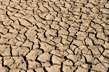 Dry cracked field. The global shortage of water on the planet. Global warming and greenhouse effect concept. Dry soil. 