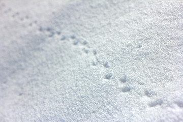 Fußabdrücke im Schnee, bei Sonnenschein
