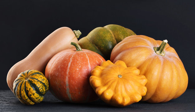 Pattypan Bilder Durchsuchen 4,570 Archivfotos, und