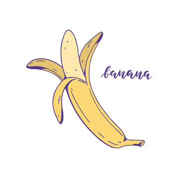 Banana. Hand drawn vector image.
