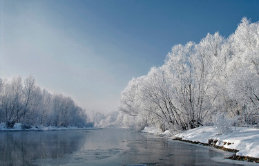 zima pierwszy śnieg na drzewach nad rzeką