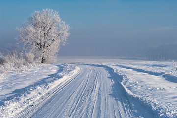 zima śnieg na drodze ośnieżone pola