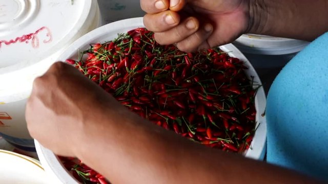 Close up of black woman hands picking red pepper in white bowl in Amazon, Brazil. Concept of food, lifestyle, gastronomy, health, healthy food, cooking, ingredients and travel.