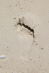 La trace dans le sable