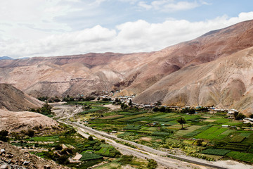 Valley of Camiña a true oasis in the desert.