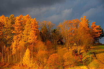 雨上がり秋の夕暮れ