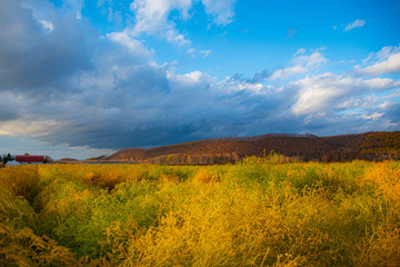 Obraz premium 秋の終わり