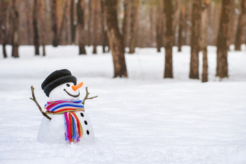 Winter wonderland with a funny snowman