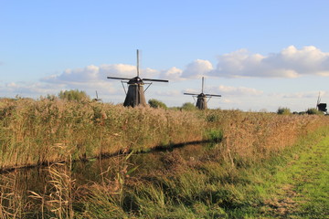 Windmills in Kinderdijk, Netherlands.