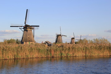 Fototapeta na wymiar Windmills in Kinderdijk, Netherlands.
