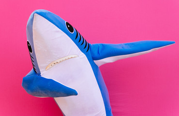 Character shark has a message for humanity about stop shark fishing and finning