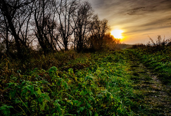 Dramatic view of a public country footpath by the side of a nature reserve lake seen in late winter.