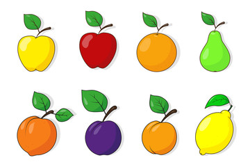 Set of fruits with leaves. Fruit icons on the white background. Vector illustration.