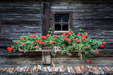 geranium in front of the  window and wood pile of austrian farmhouse